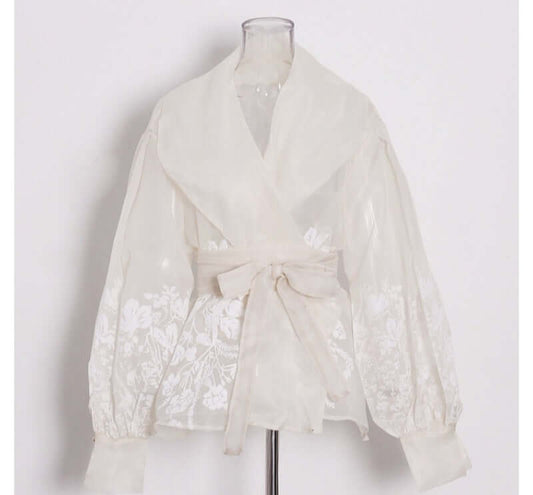 Vintage Embroidered Organza Blouse - Lantern Sleeve Lapel Shirt